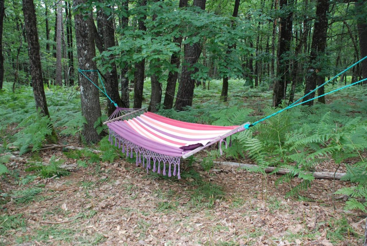 Camping Bois De St Hilaire Chalandray Екстер'єр фото
